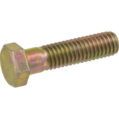 Hex Head Cap Screws