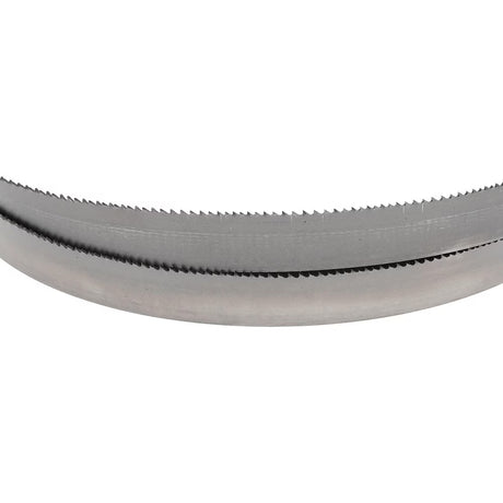 Welded Bandsaw Blade: 11' Long x 1" Wide x 6 to 8 TPI